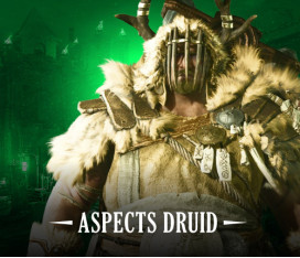 BIS ASPECTS FOR DRUID
